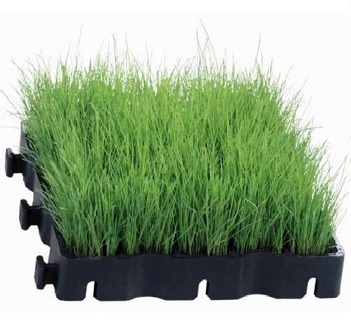 EcoRaster mit Grass = EcoGreen